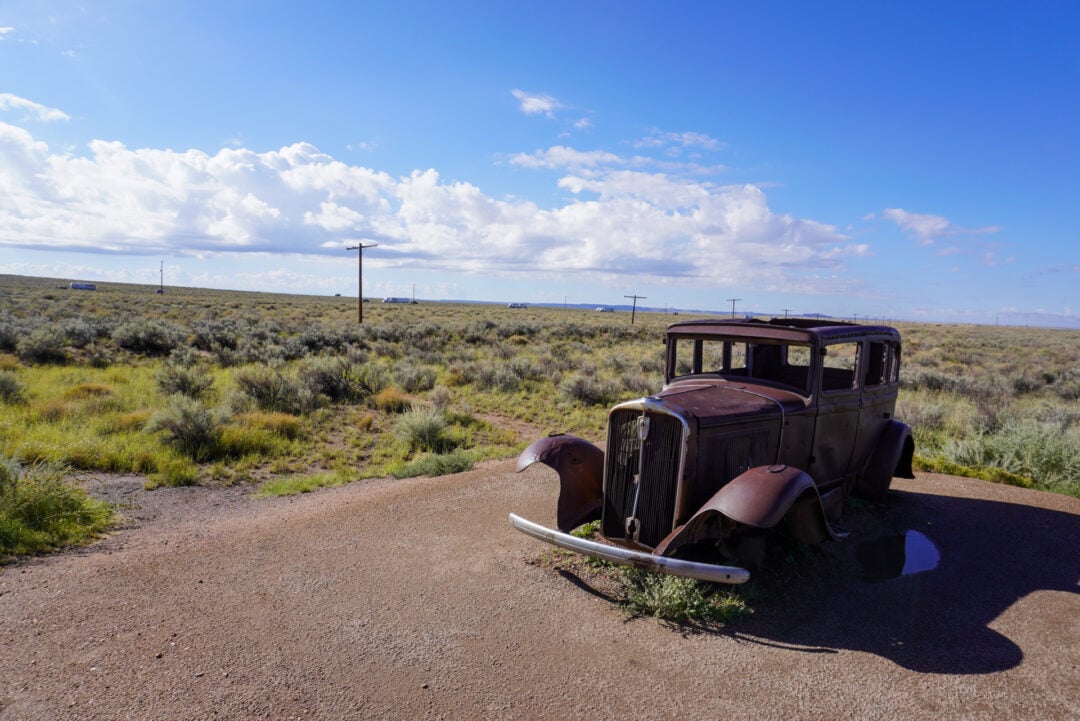 A vintage car surrounded by greenery