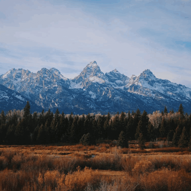 National park entrance fees and hours 2026: What every traveler needs to know before they go