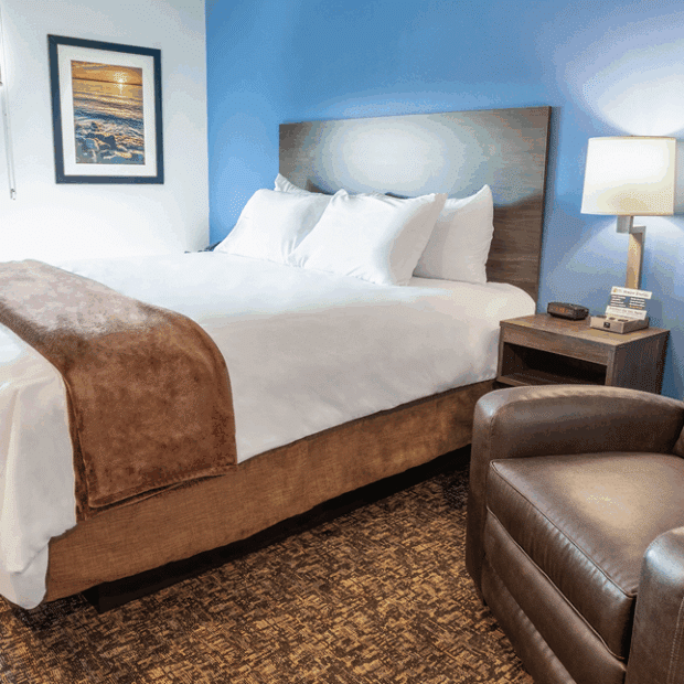 Why My Place Hotels Is the Perfect Stop on Your Next Road Trip